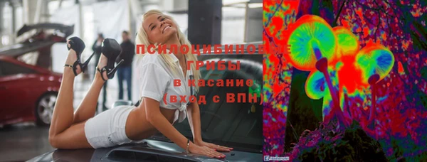 гашик Баксан