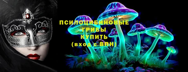 винт Армянск