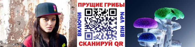 hydra ссылка  Долгопрудный  Псилоцибиновые грибы ЛСД  даркнет сайт 