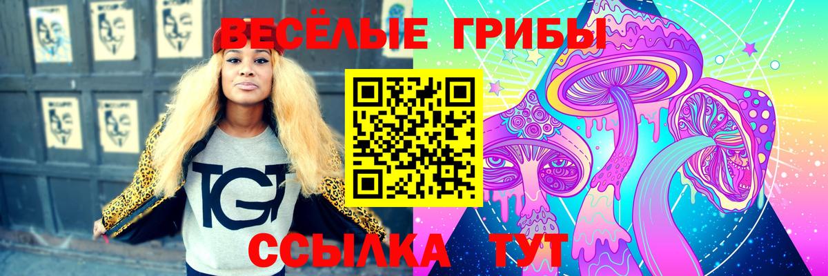 Псилоцибиновые грибы MAGIC MUSHROOMS  Вход с VPN  Долгопрудный  продажа наркотиков  Псилоцибиновые грибы мухоморы 