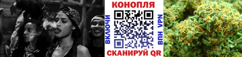 Конопля гибрид  сколько стоит  Долгопрудный 